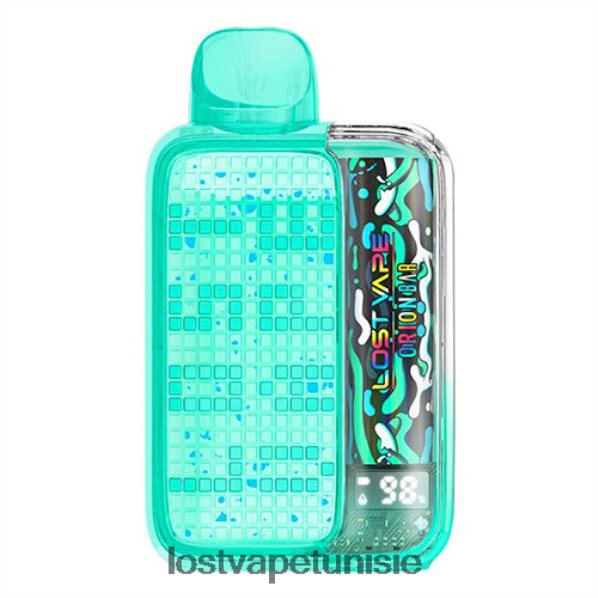 Lost Vape Orion barre jetable 10000 bouffée 20ml 50mg - Lost Vape Tunisie 040BBB276 menthe de Miami