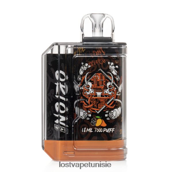 Lost Vape Orion barre jetable | 7500 bouffées | 18 ml | 50 mg - Lost Vape near me Tunisie 040BBB93 le tabac