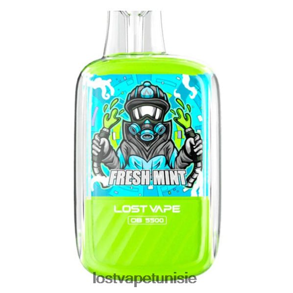 Lost Vape Orion ob5500 5500 bouffées 14 ml 50 mg jetables - Lost Vape prix 040BBB101 menthe fraîche